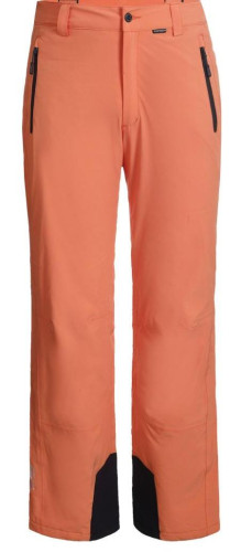 Брюки горнолыжные Icepeak 657038839IV 455 в Луганске