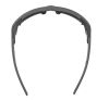 Купить Очки Alpina Skywalsh Q Midnight-Grey Matt/Blue Mirror Cat.4 Fogstop в Луганске