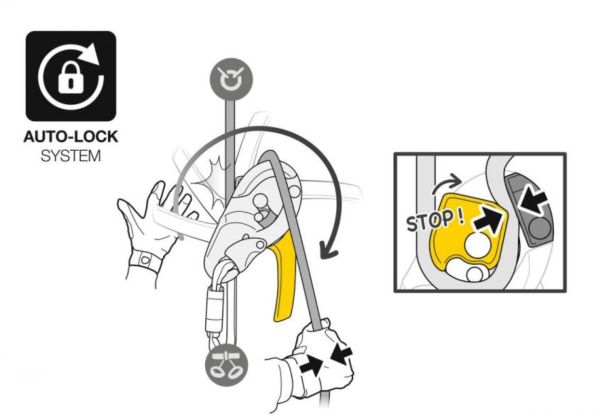  Спусковое устройство RIG Petzl в Луганске  