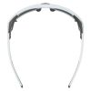 Купить Очки Alpina Skywalsh Q Smoke-Grey Matt/Green Mirror Cat.4 Fogstop в Луганске