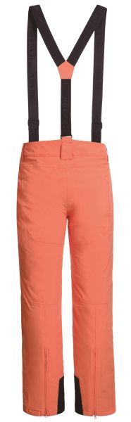 Брюки горнолыжные Icepeak 657038839IV 455 в Луганске