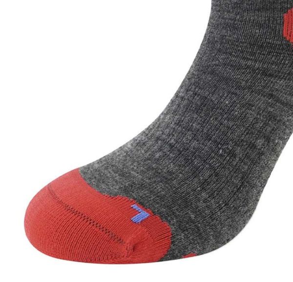 Купить Носки LENZ Skiing Kids Grey/Red/Blue в Луганске