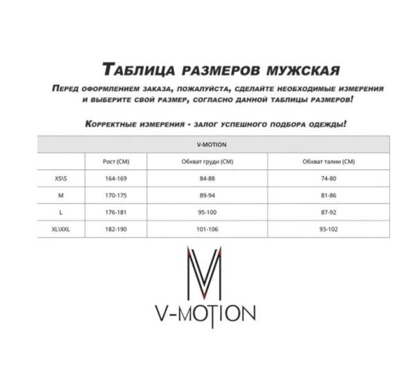 Термобельё V-MOTION Base мужской серебристый в Луганске