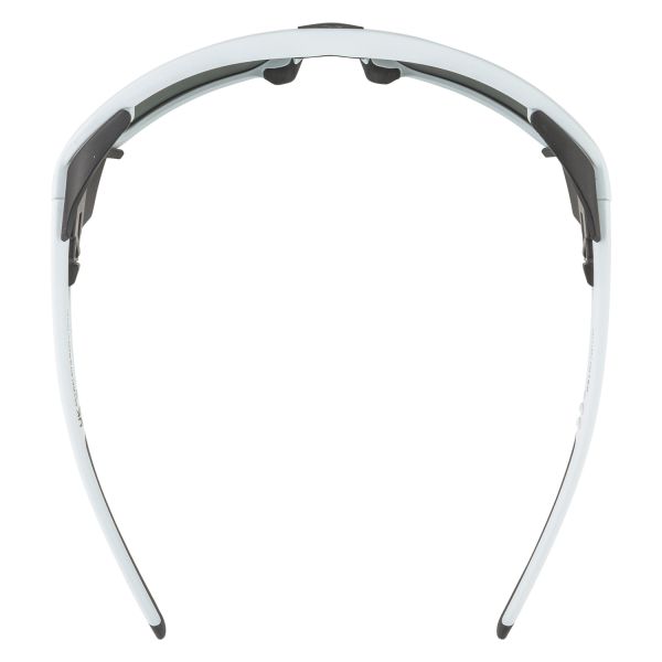 Купить очки alpina skywalsh q smoke-grey matt/green mirror cat.4 fogstop в Луганске