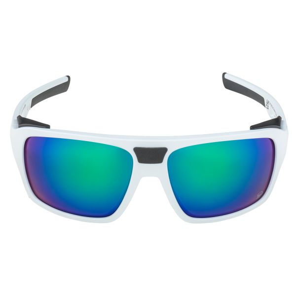 Купить очки alpina skywalsh q smoke-grey matt/green mirror cat.4 fogstop в Луганске