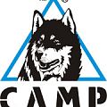 Кошки CAMP в Луганске