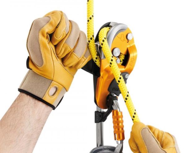  Спусковое устройство RIG Petzl в Луганске  