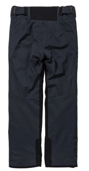 Брюки горнолыжные Phenix Blizzard в Луганске