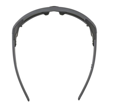 Купить Очки Alpina Skywalsh Q Midnight-Grey Matt/Blue Mirror Cat.4 Fogstop в Луганске