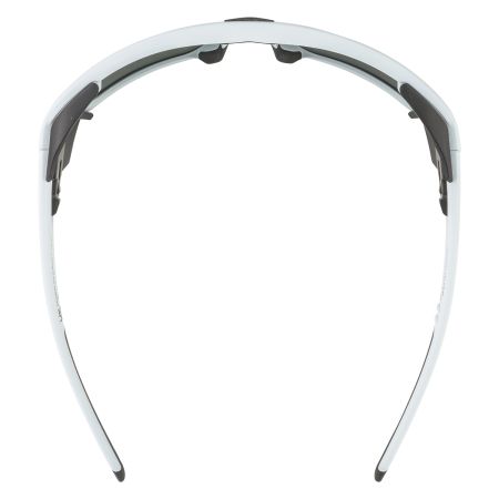 Купить Очки Alpina Skywalsh Q Smoke-Grey Matt/Green Mirror Cat.4 Fogstop в Луганске