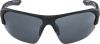 Купить Очки Alpina Lyron Hr Black Matt/Black Mirror Cat.3 в Луганске
