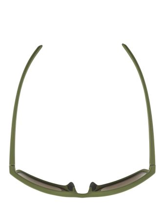 Купить Очки Alpina Nacan I Olive Matt/Bronce Mirror Cat.3 в Луганске
